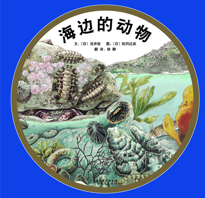 海边的动物 (01),绘本,绘本故事,绘本阅读,故事书,童书,图画书,课外阅读
